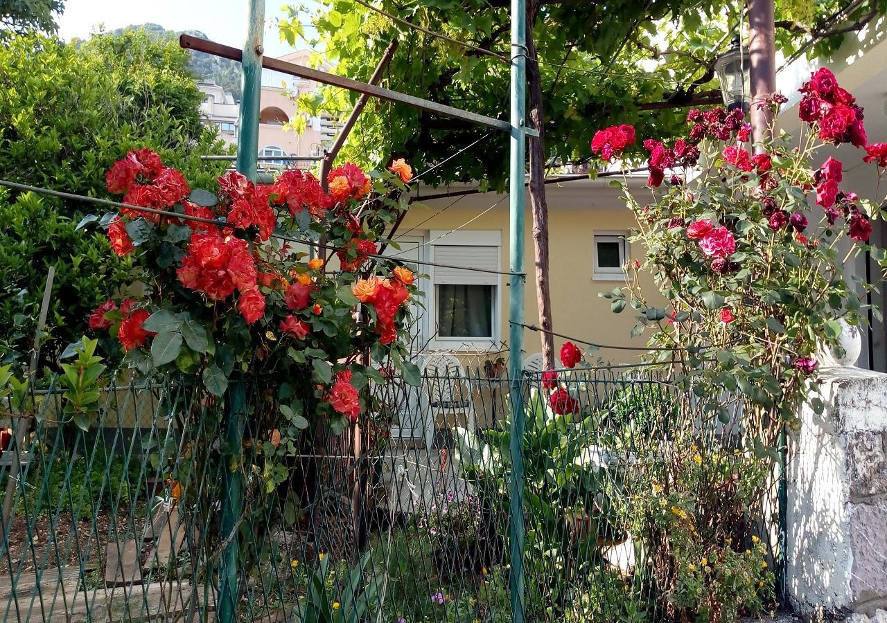 Apartman Lora Будва Екстер'єр фото